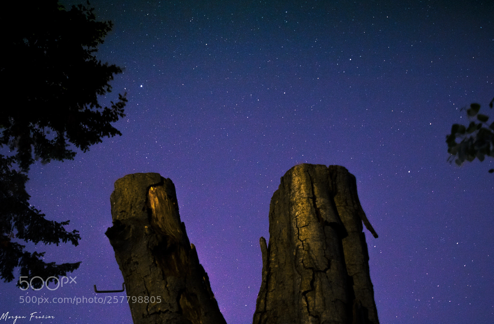 Canon EOS 750D (EOS Rebel T6i / EOS Kiss X8i) sample photo. The visualization of stars photography