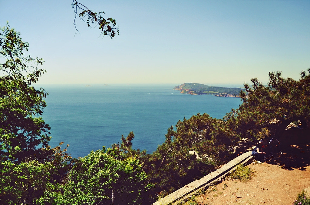 Nikon D5000 sample photo. In paradise land photography