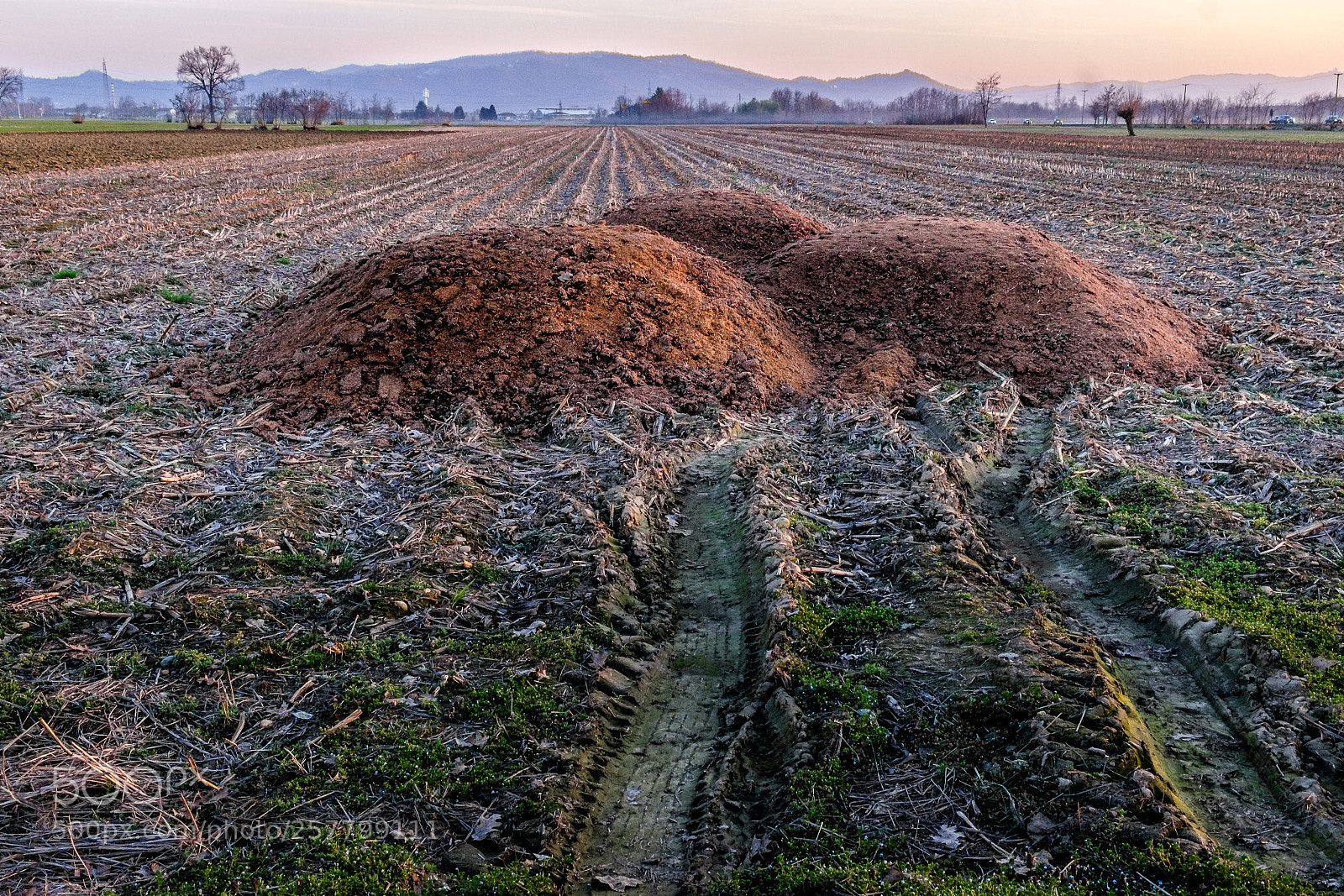 Fujifilm X-E2 sample photo. Ancora freddo photography