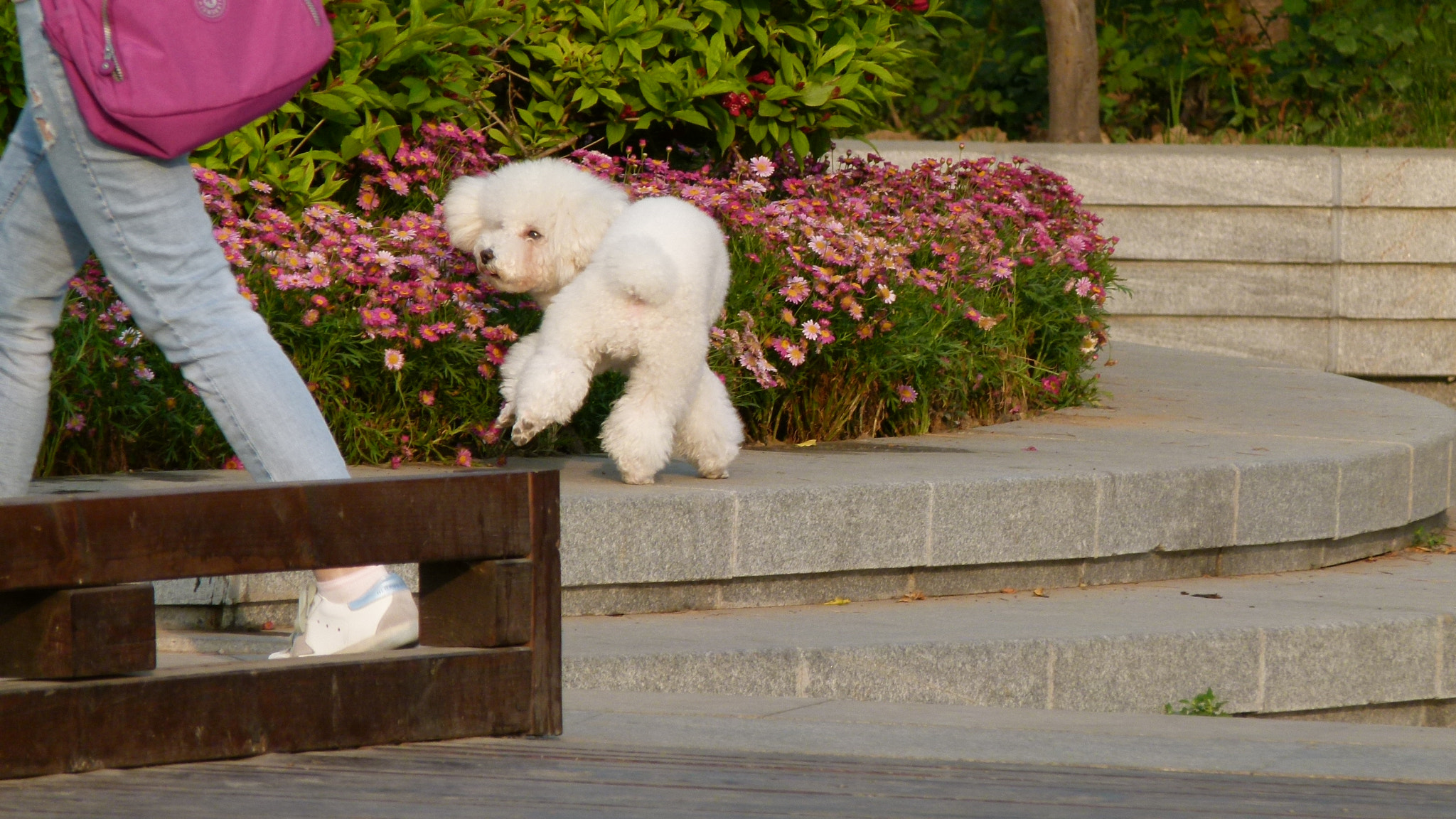 Leica V-Lux 2 sample photo