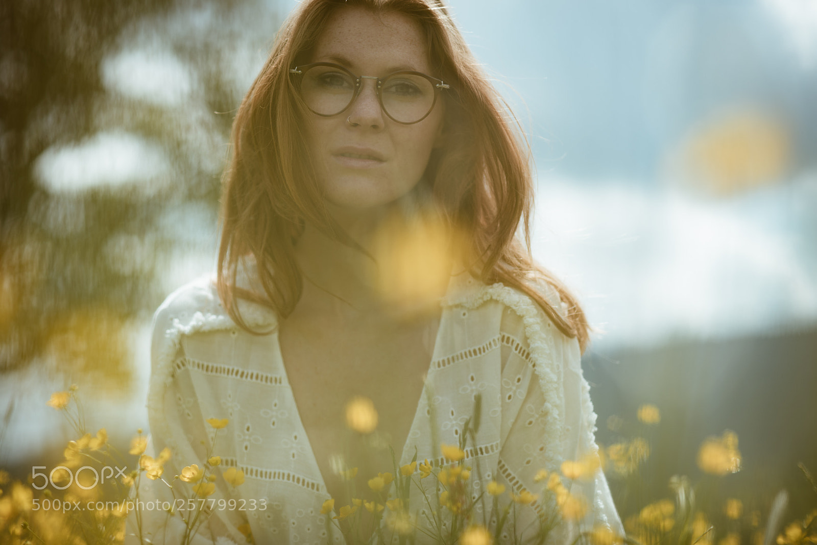 Nikon D750 sample photo. Golden photography
