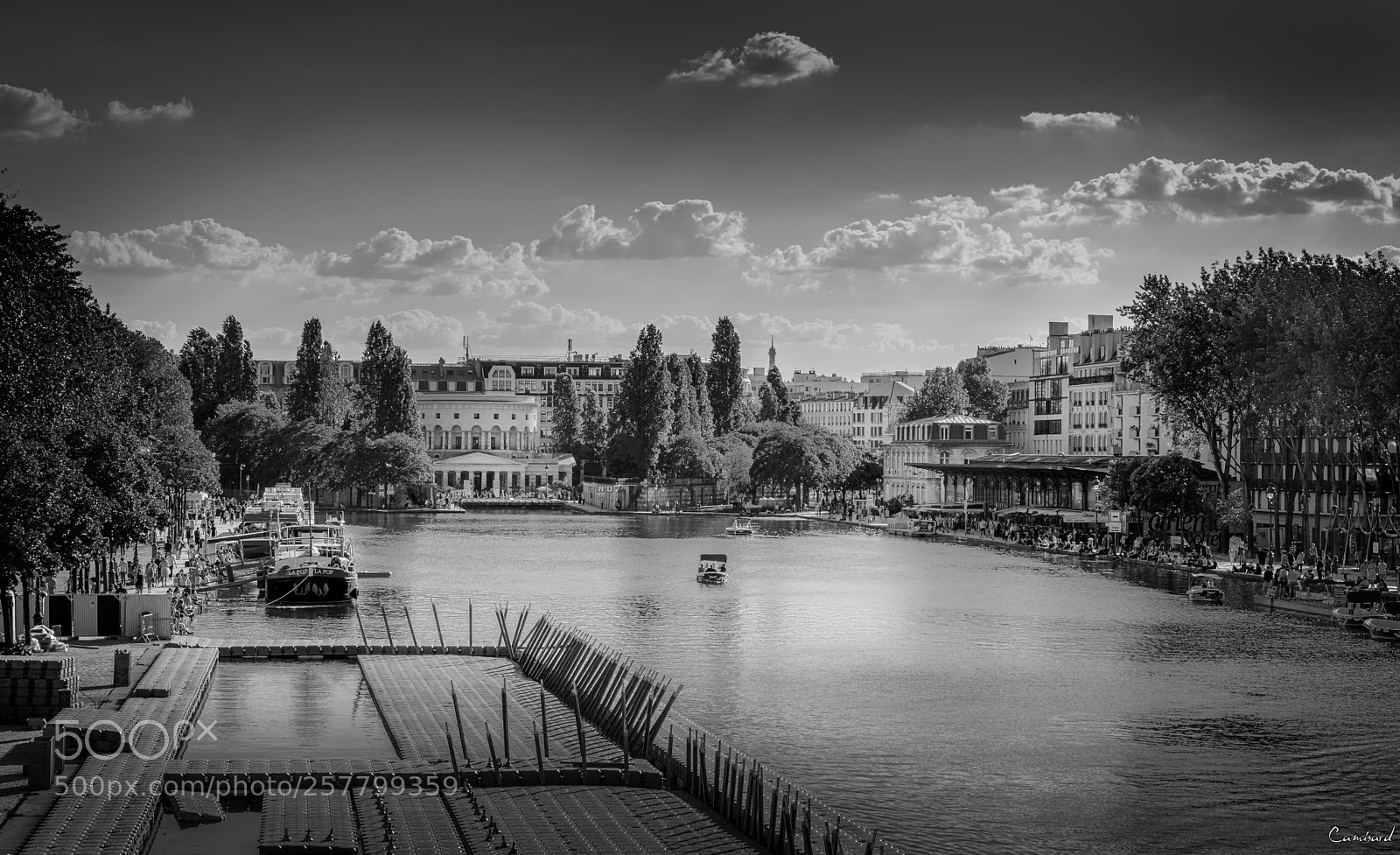 Nikon D800 sample photo. Paris - bassin de photography