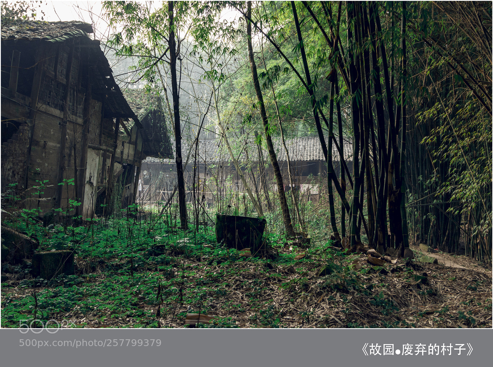 Canon EOS 70D sample photo. Untitled photography