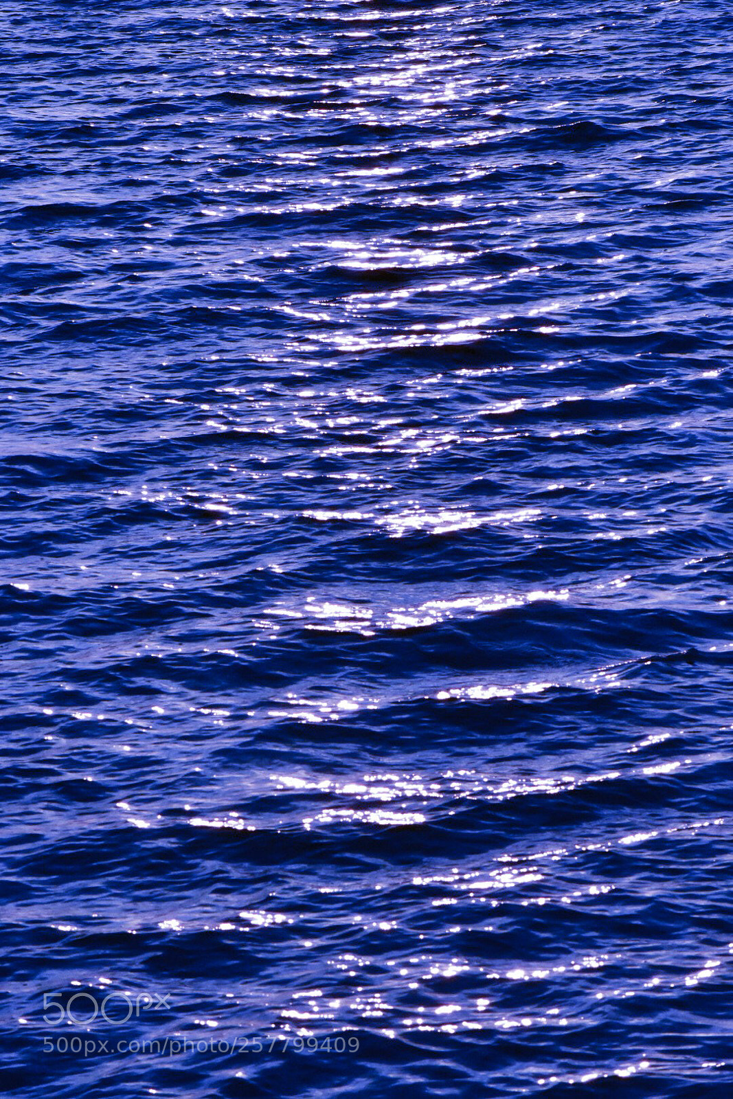 Nikon D3400 sample photo. Sea bridge photography