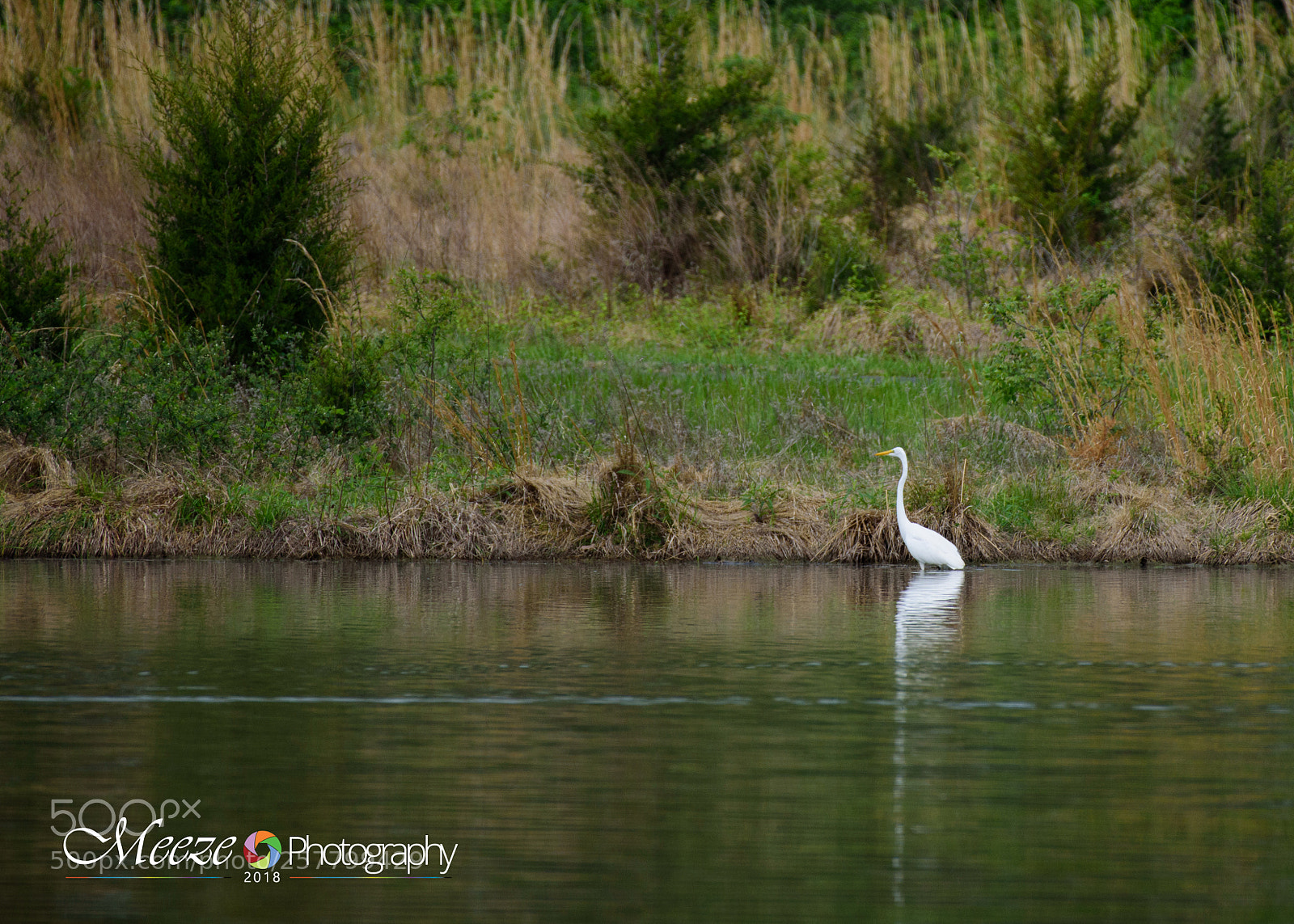 Nikon D750 sample photo. Shade photography