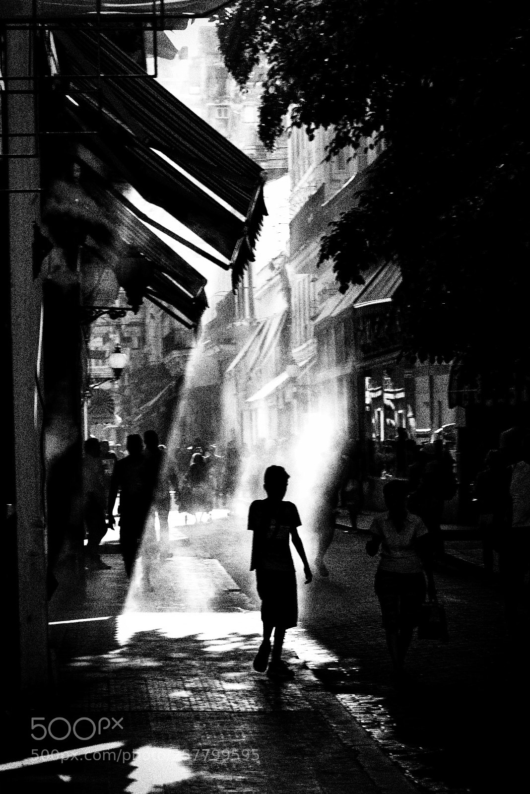 Nikon D800 sample photo. Mystère photography