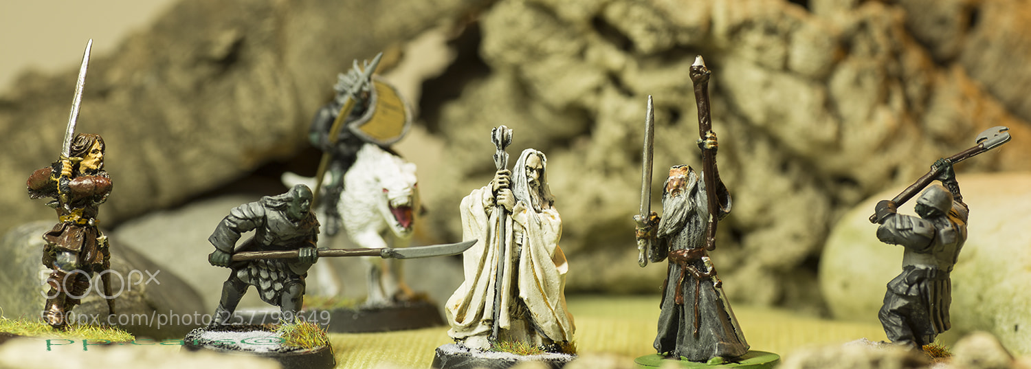 Canon EOS 6D sample photo. El se or de photography
