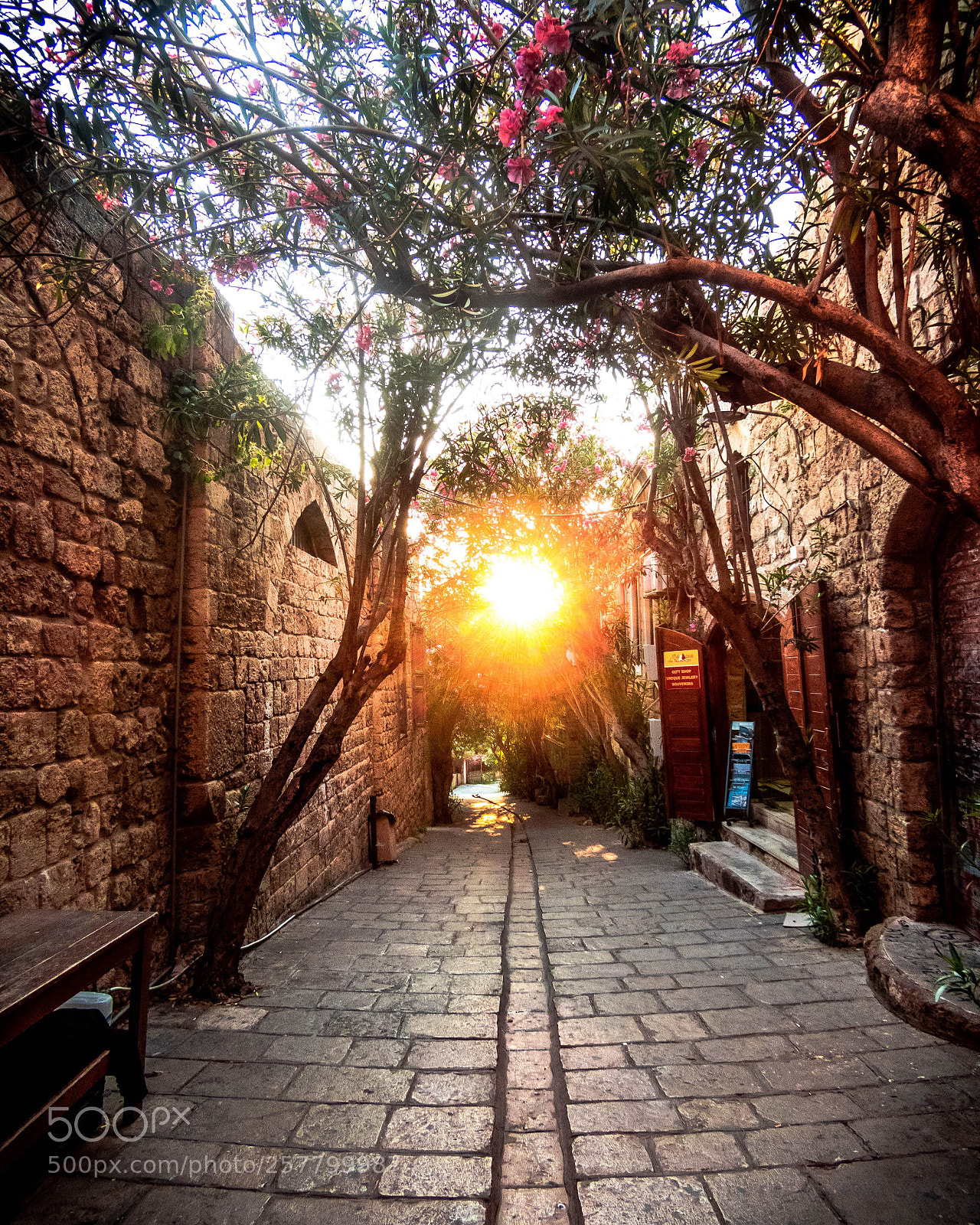 Nikon Coolpix B700 sample photo. Byblos photography