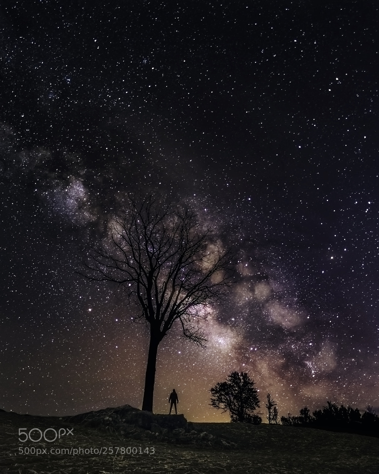 Nikon D810 sample photo. Night time up north! photography