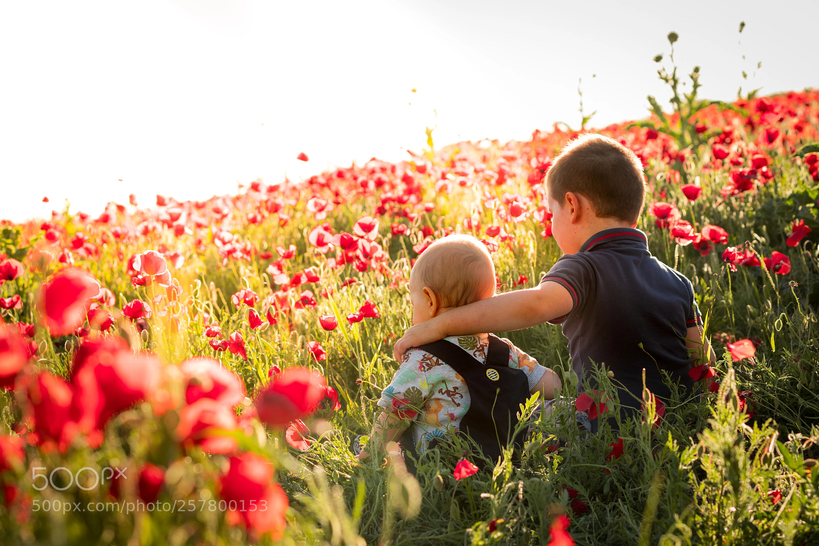 Pentax K-1 sample photo. Brothers photography