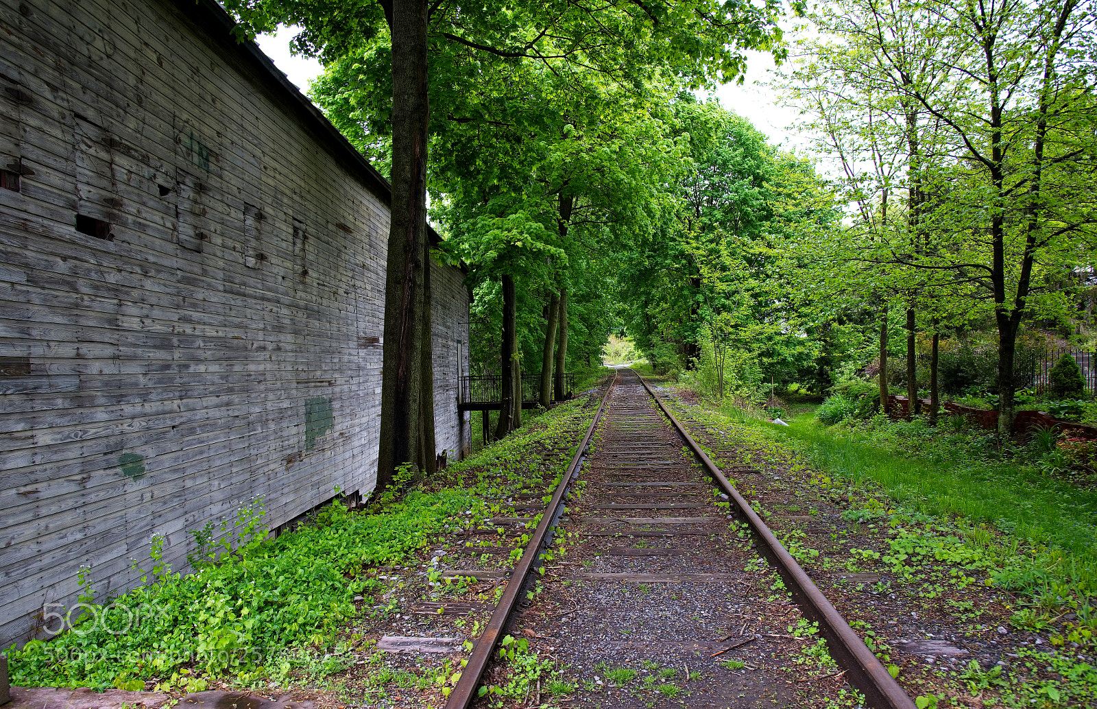 Nikon D750 sample photo. The granary 03 photography