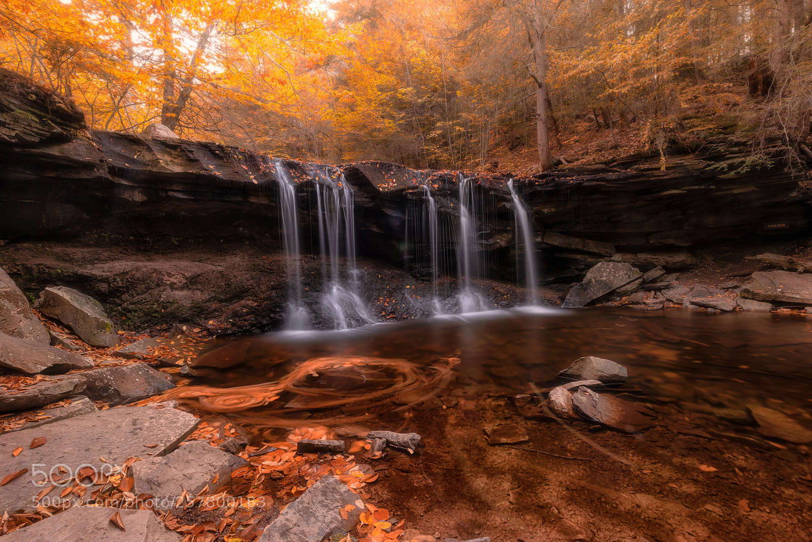 Nikon D810 sample photo. Oneida falls photography