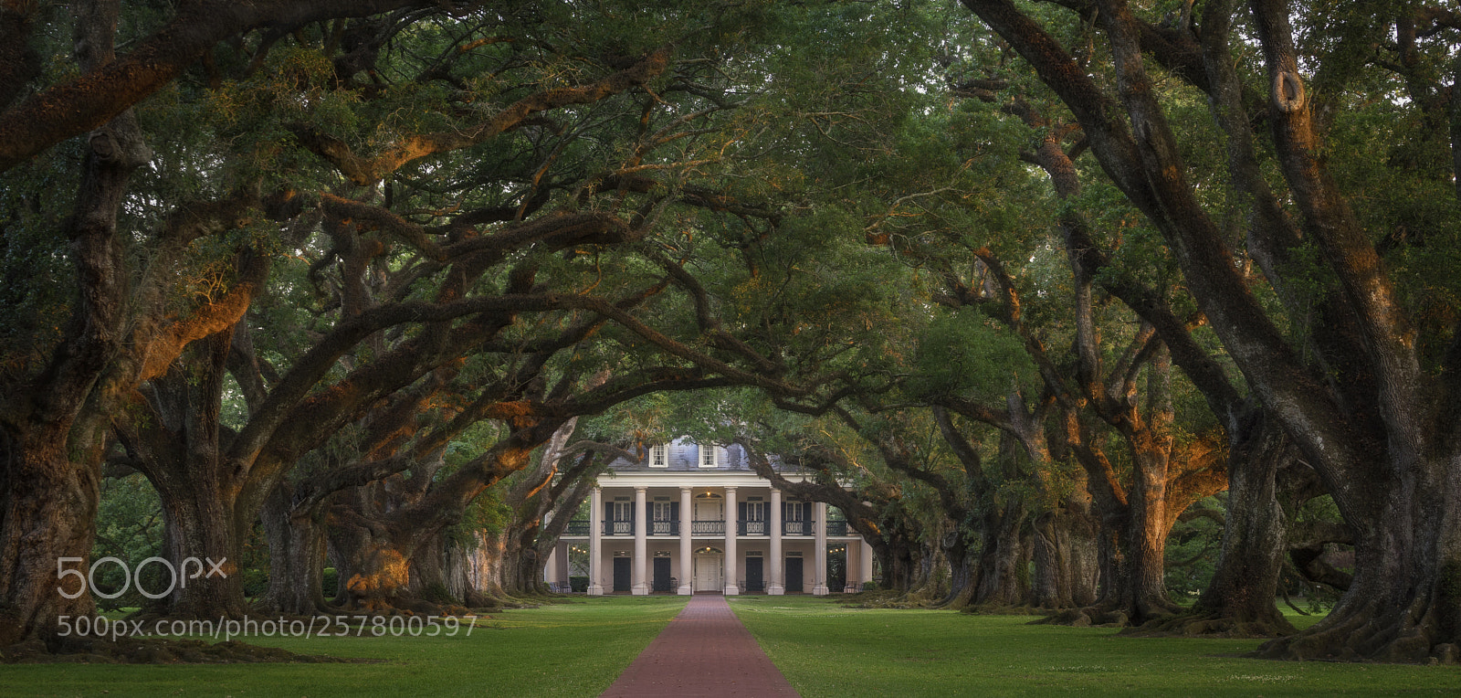 Sony a7 II sample photo. Oak alley's big house photography