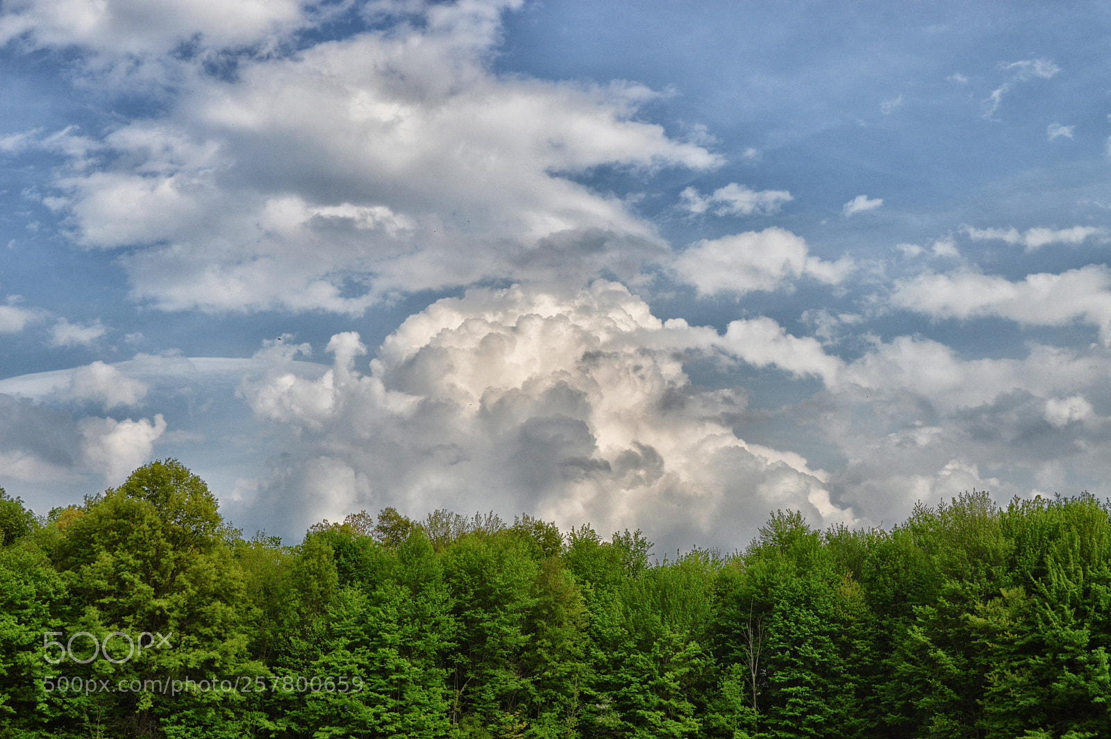 Nikon D3200 sample photo. Cloud trees photography