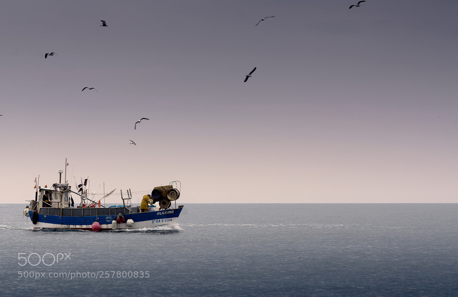 Nikon D7100 sample photo. _agt5103-1.jpg photography