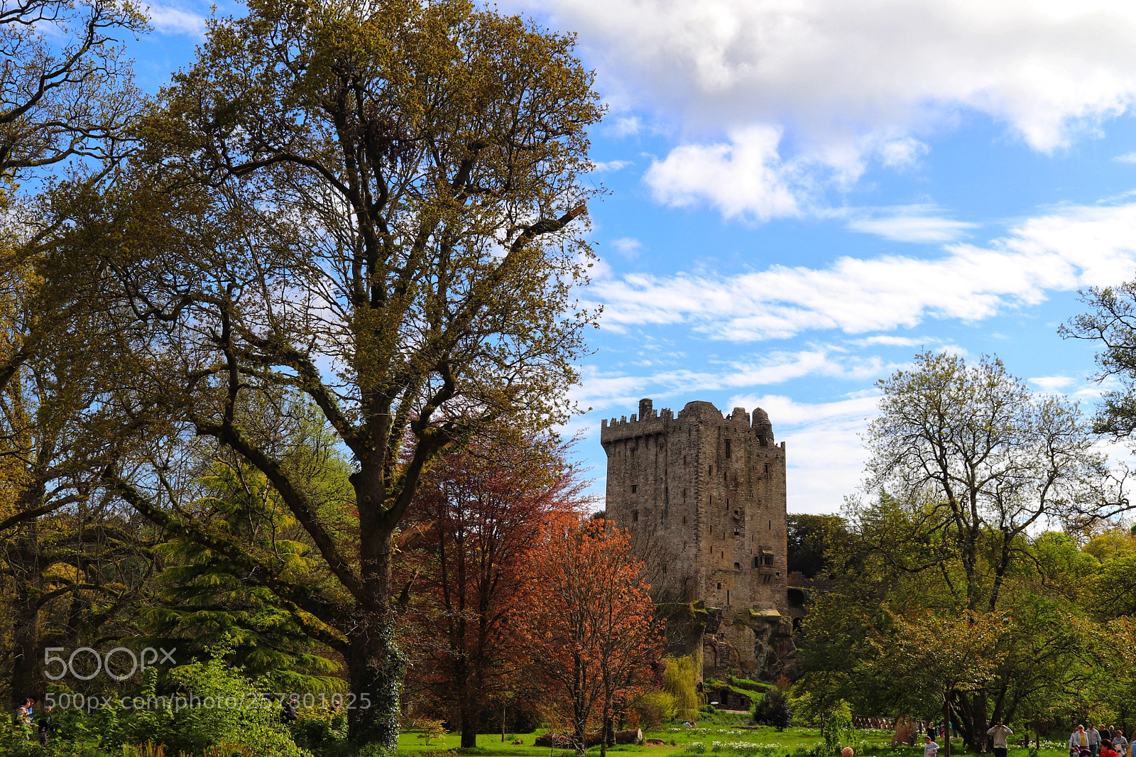 Canon EOS 77D (EOS 9000D / EOS 770D) sample photo. Great day out at photography
