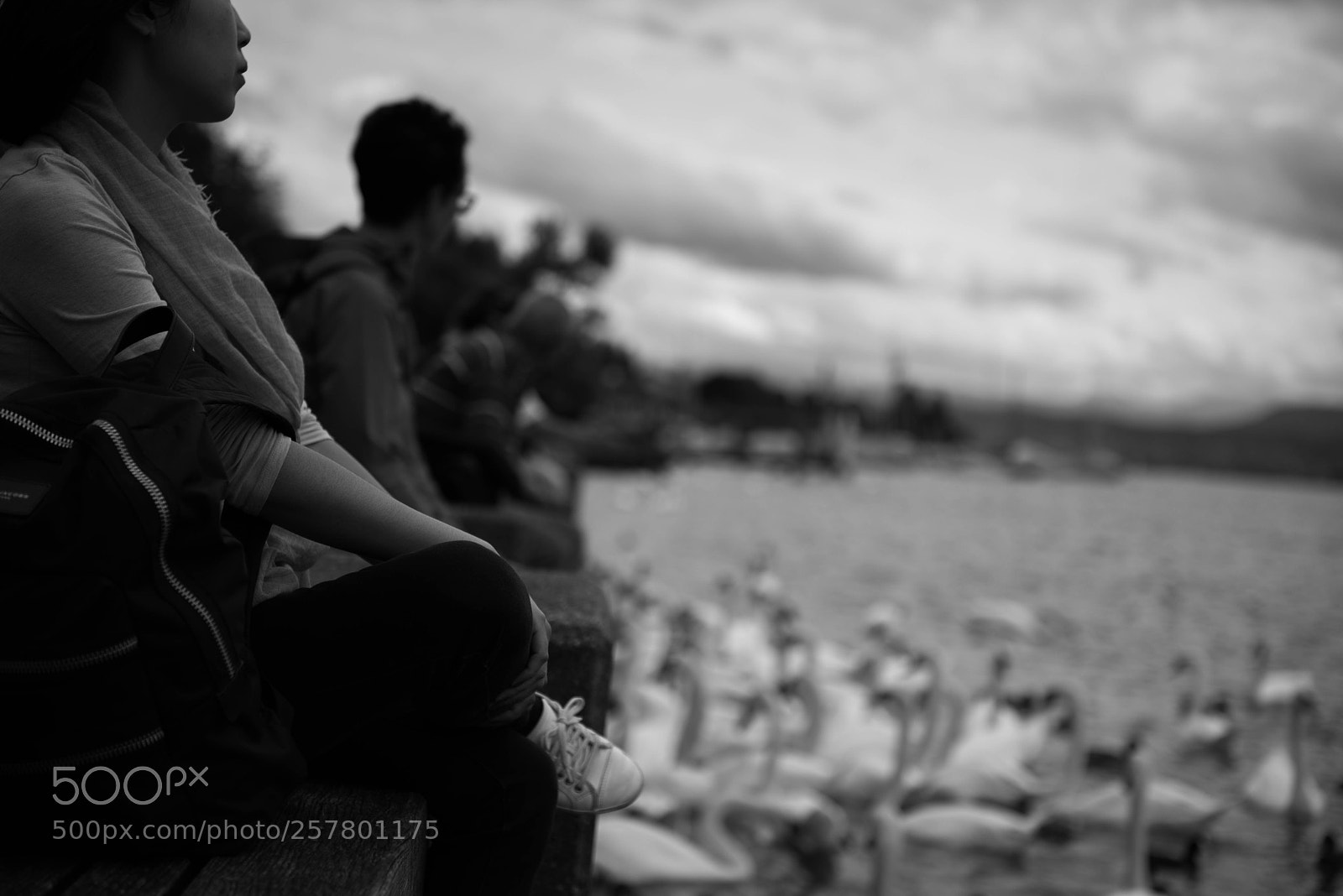 Nikon D750 sample photo. Zurich photography