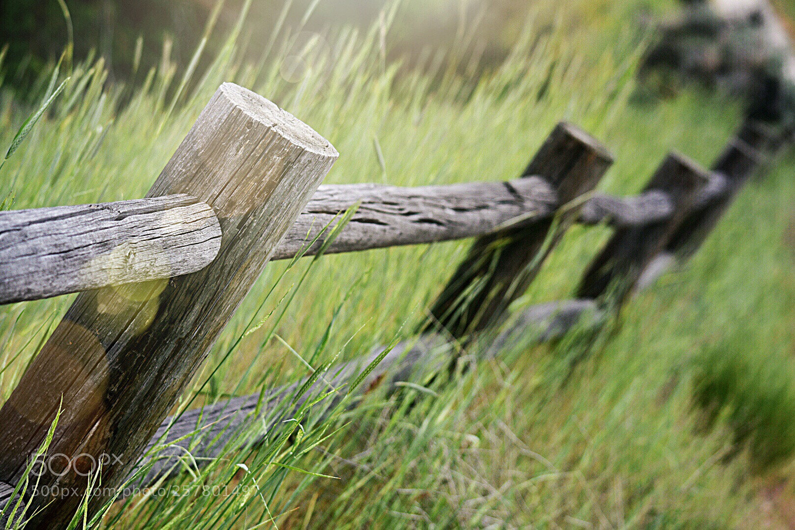 Nikon D3400 sample photo. Untitled photography