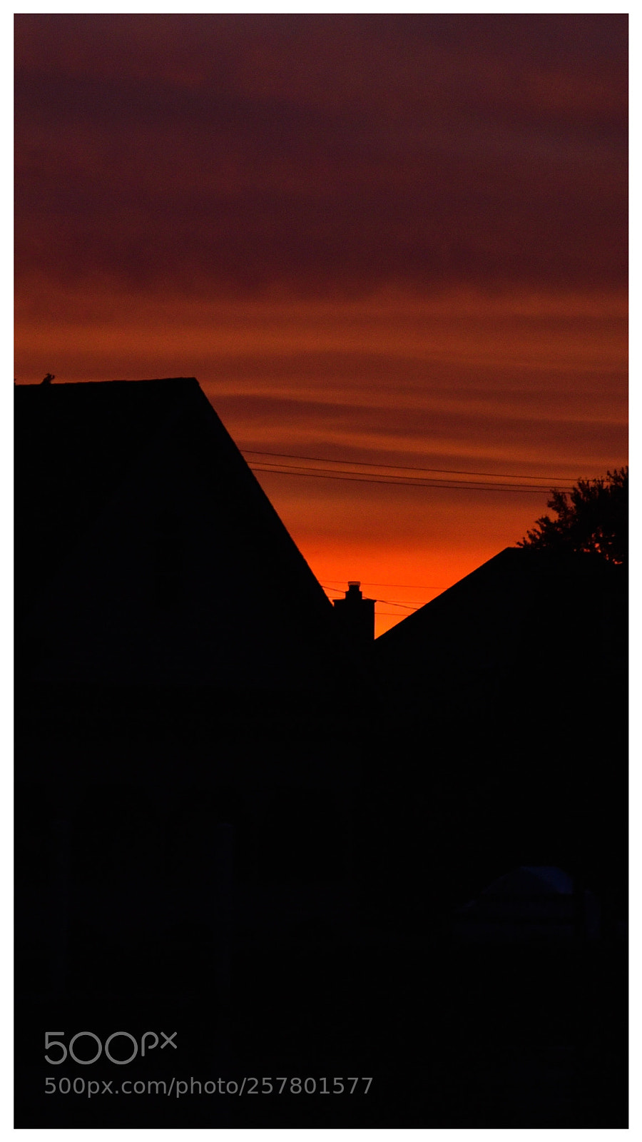Nikon D750 sample photo. Shapes photography