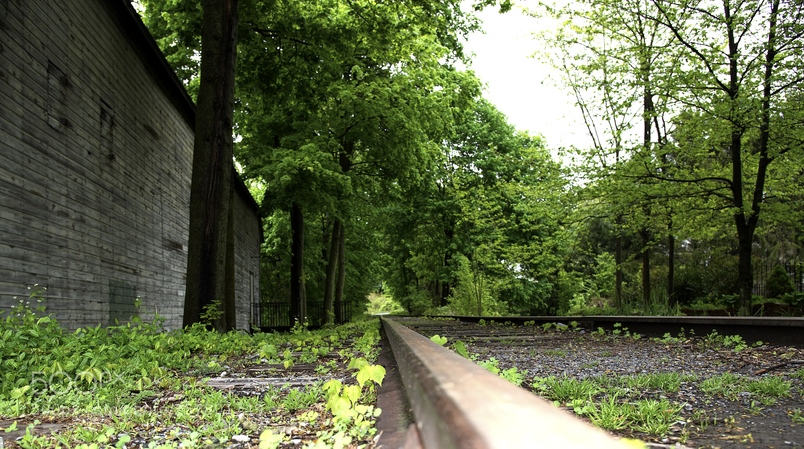 Nikon D750 sample photo. Rails photography