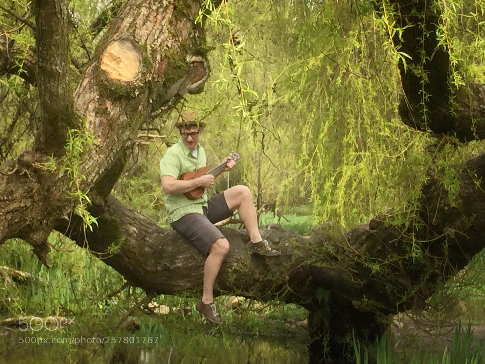 Apple iPhone 6 Plus sample photo. Ukulele player sitting on photography