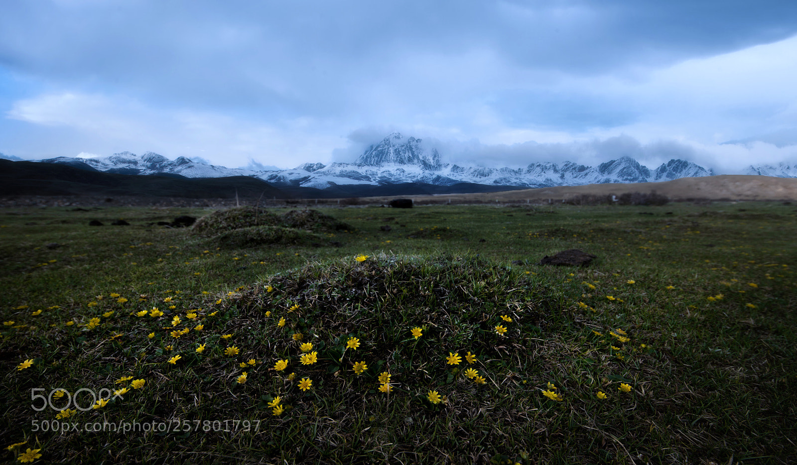 Nikon D610 sample photo. 逐渐消失的雅拉 photography