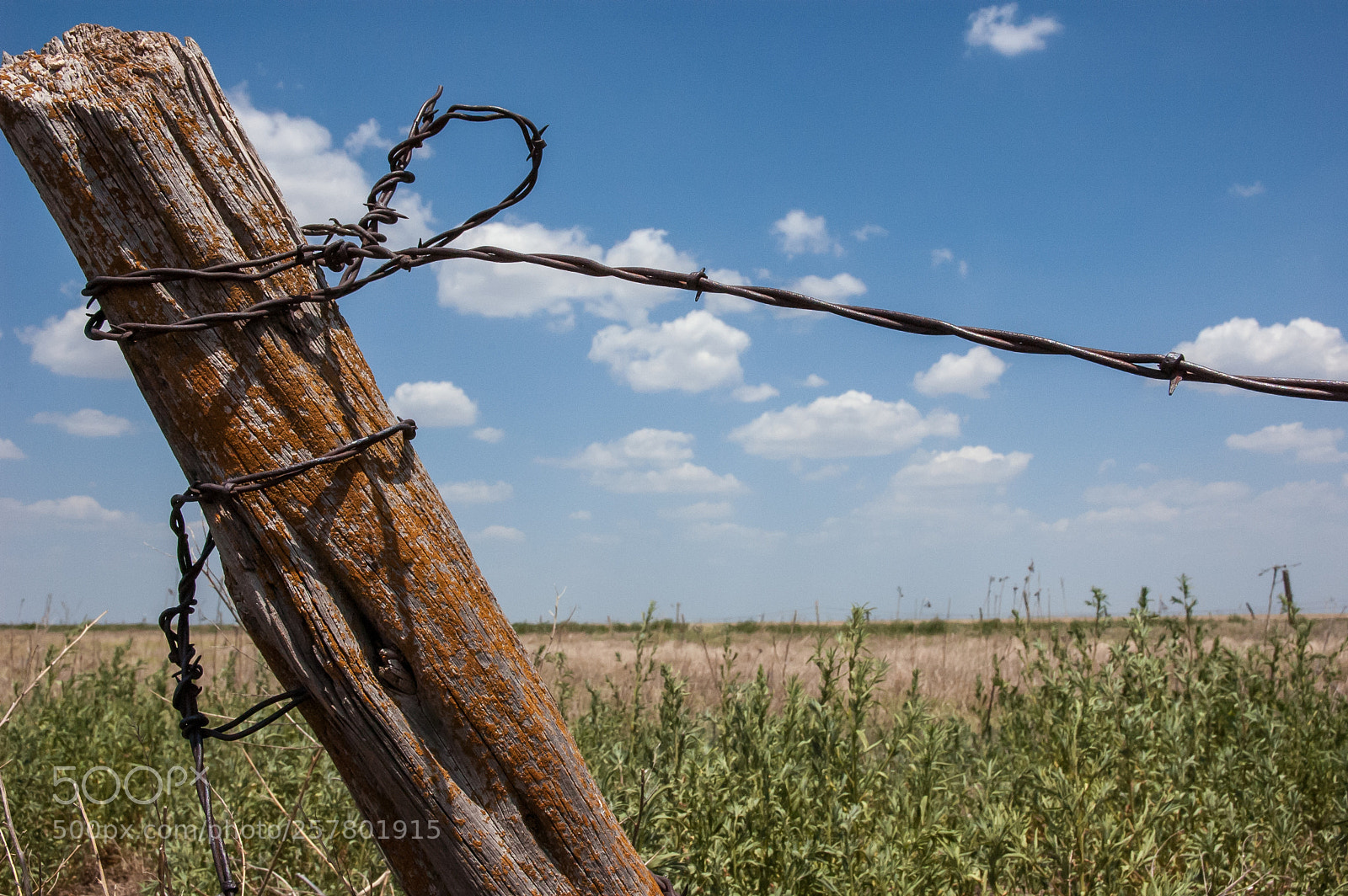 Nikon D70s sample photo. Stop photography