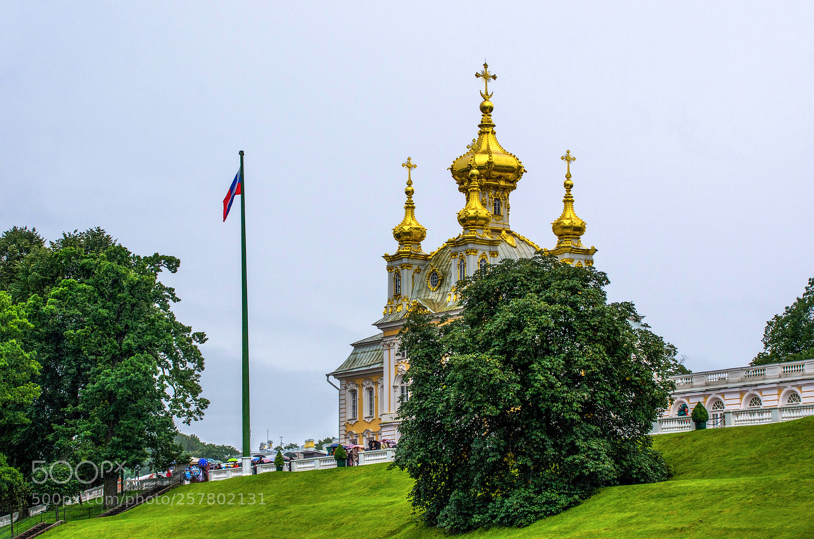 Nikon D7000 sample photo. Golden peterhof photography
