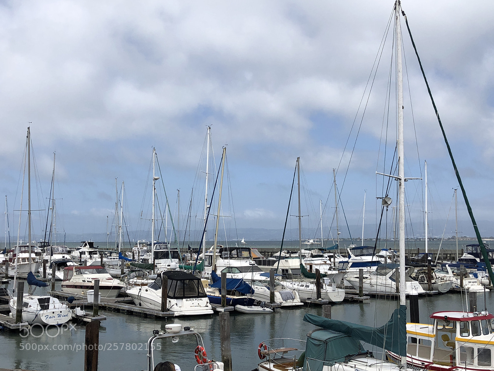 Apple iPhone 8 Plus sample photo. Sf yacht photography
