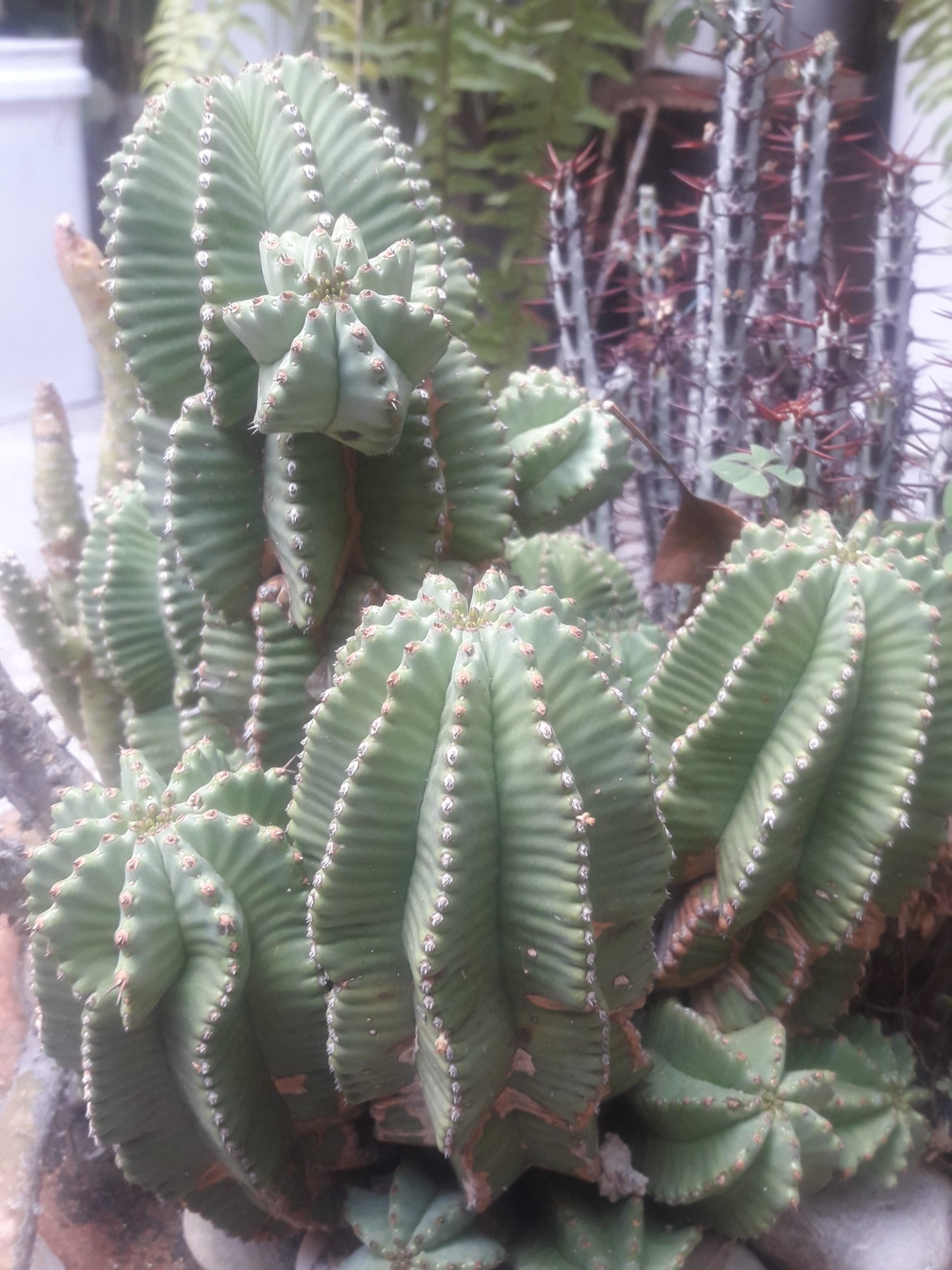 Samsung Galaxy J7 Neo sample photo