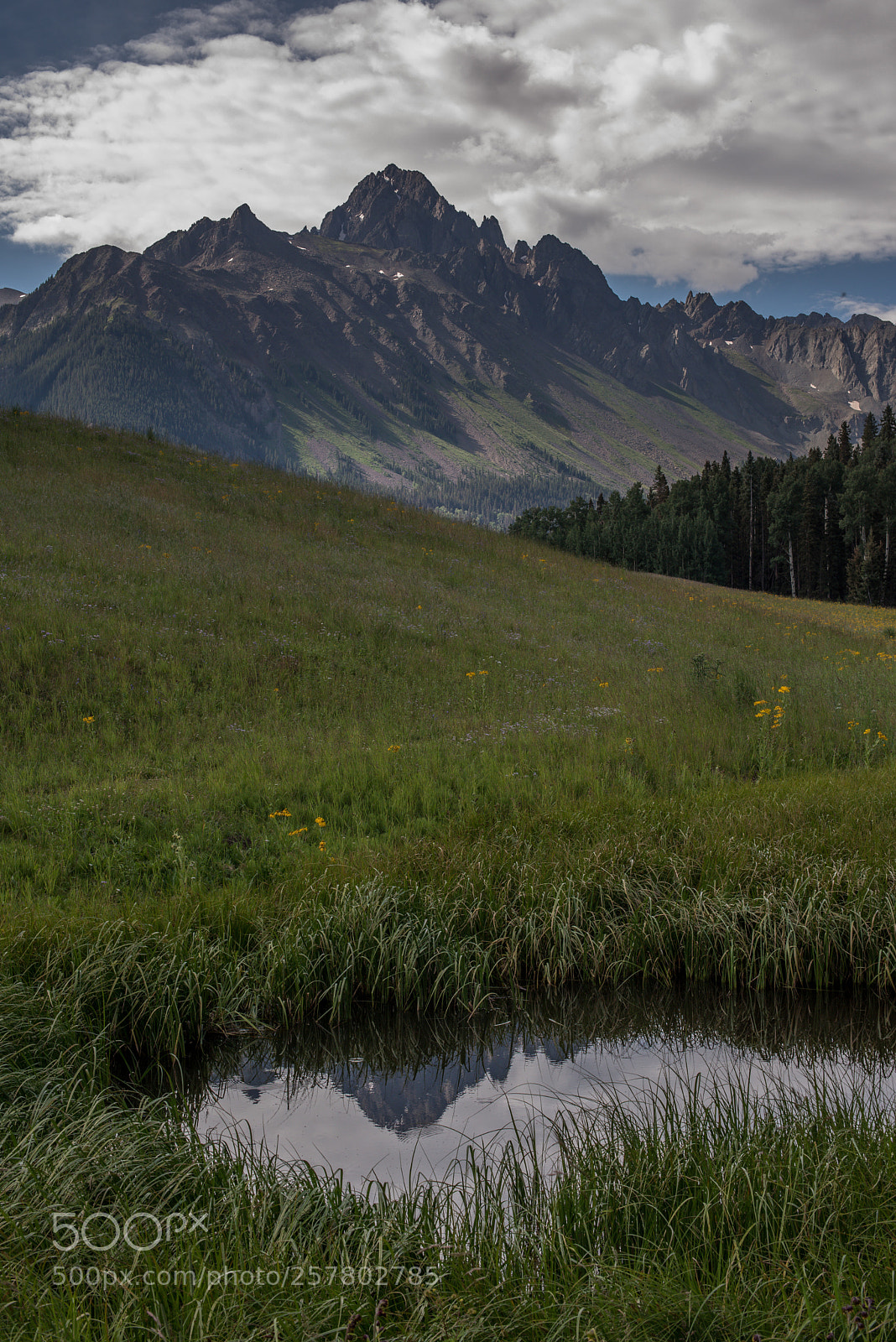 Nikon D750 sample photo. Mt. sneffel's in the photography