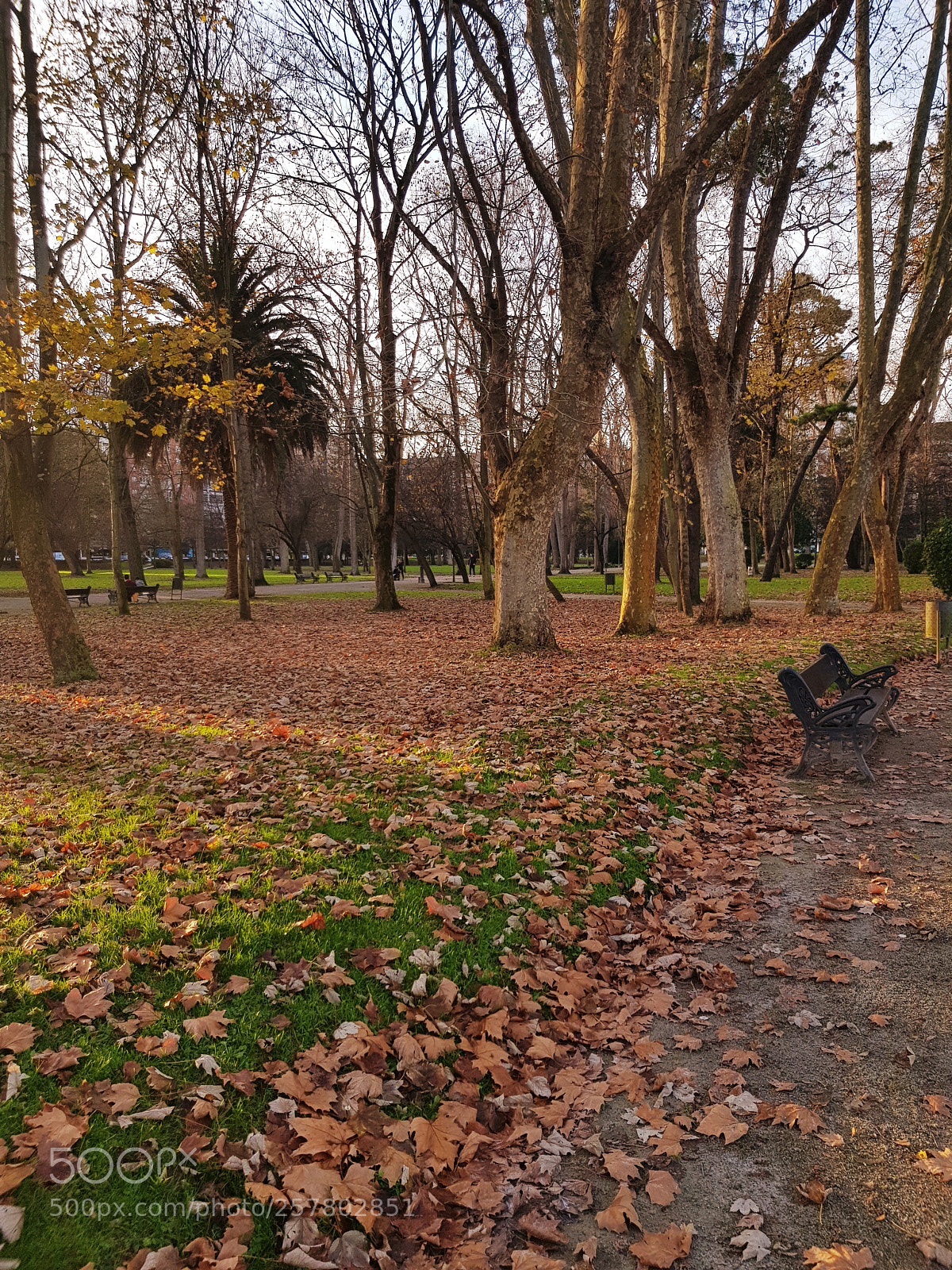 Samsung Galaxy S8 sample photo. Untitled photography