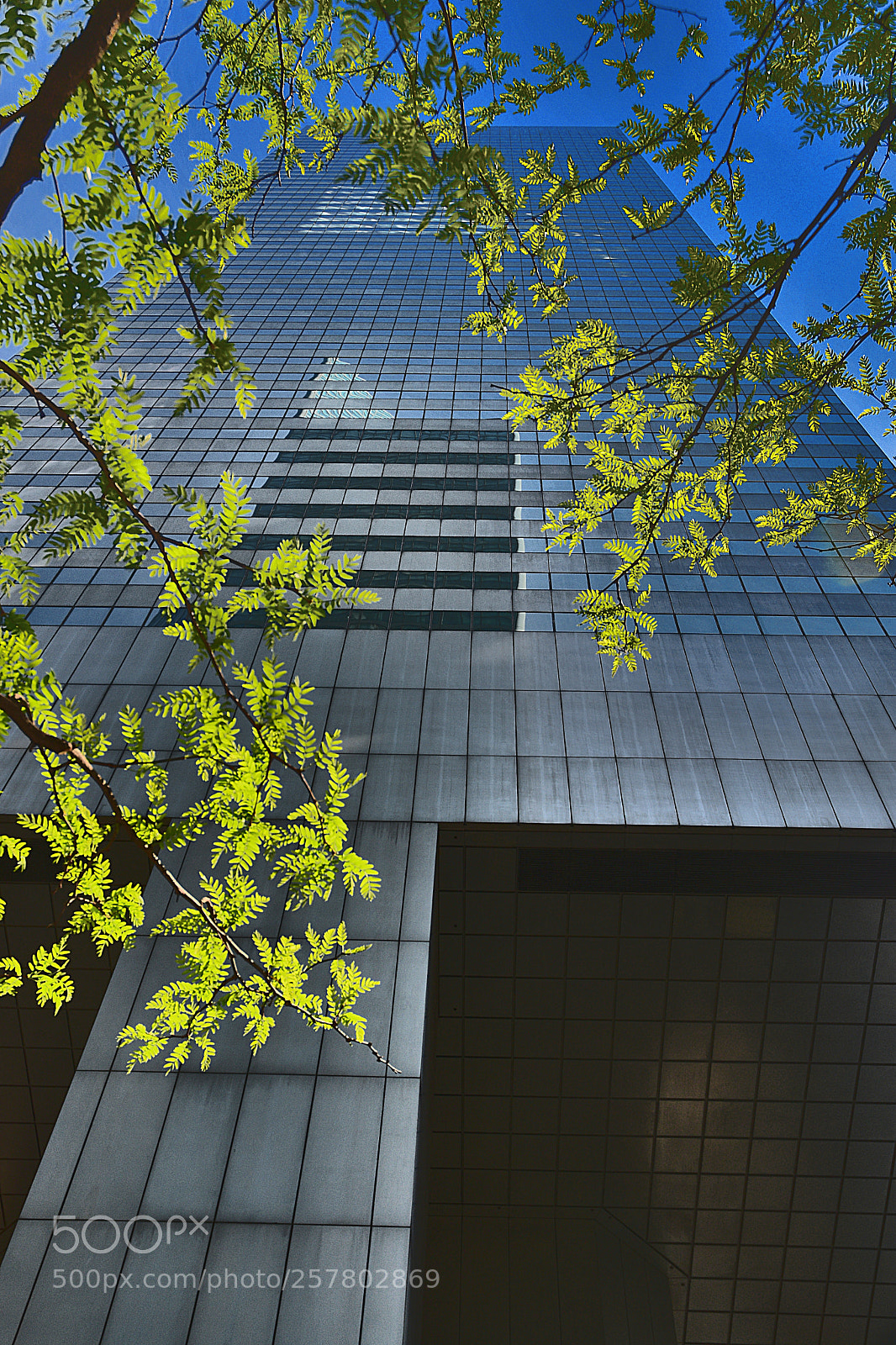 Nikon D3400 sample photo. Look up photography