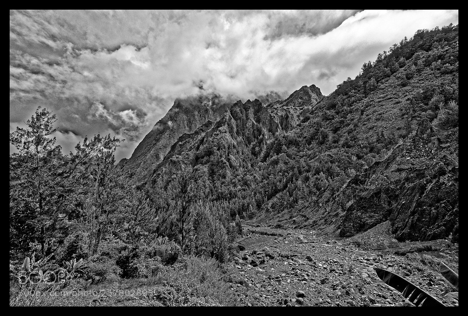 Nikon D7000 sample photo. Entr e du cirque photography