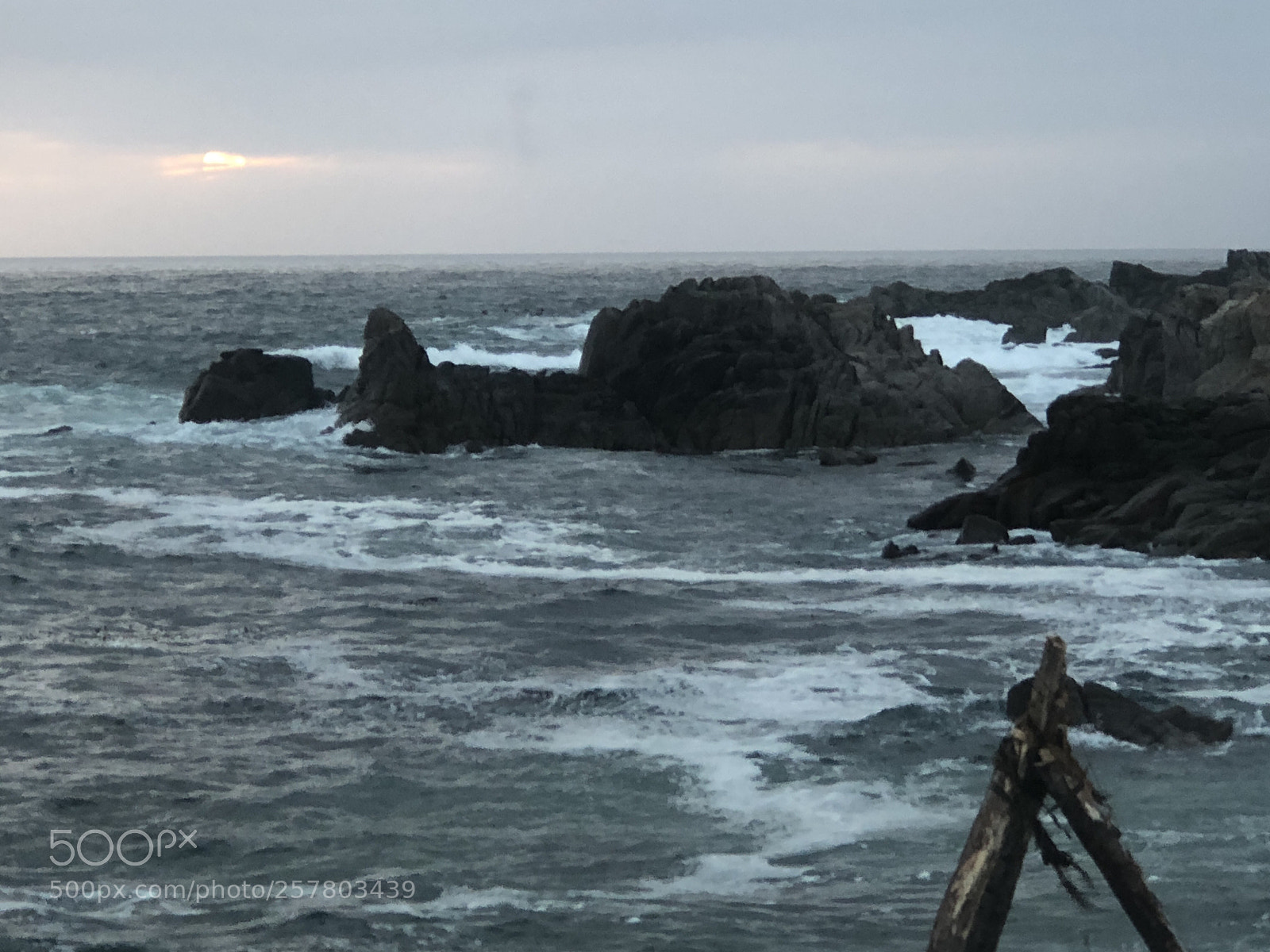 Apple iPhone 8 Plus sample photo. Monterey sunset photography