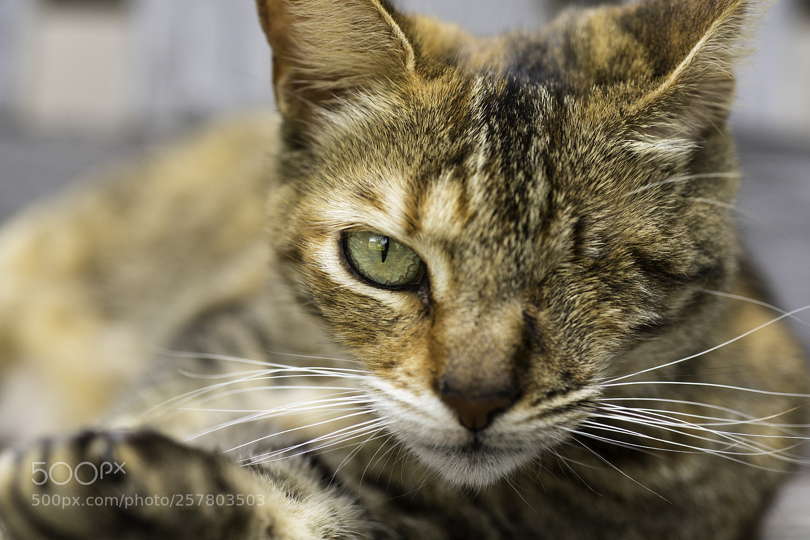 Nikon D750 sample photo. Untitled photography