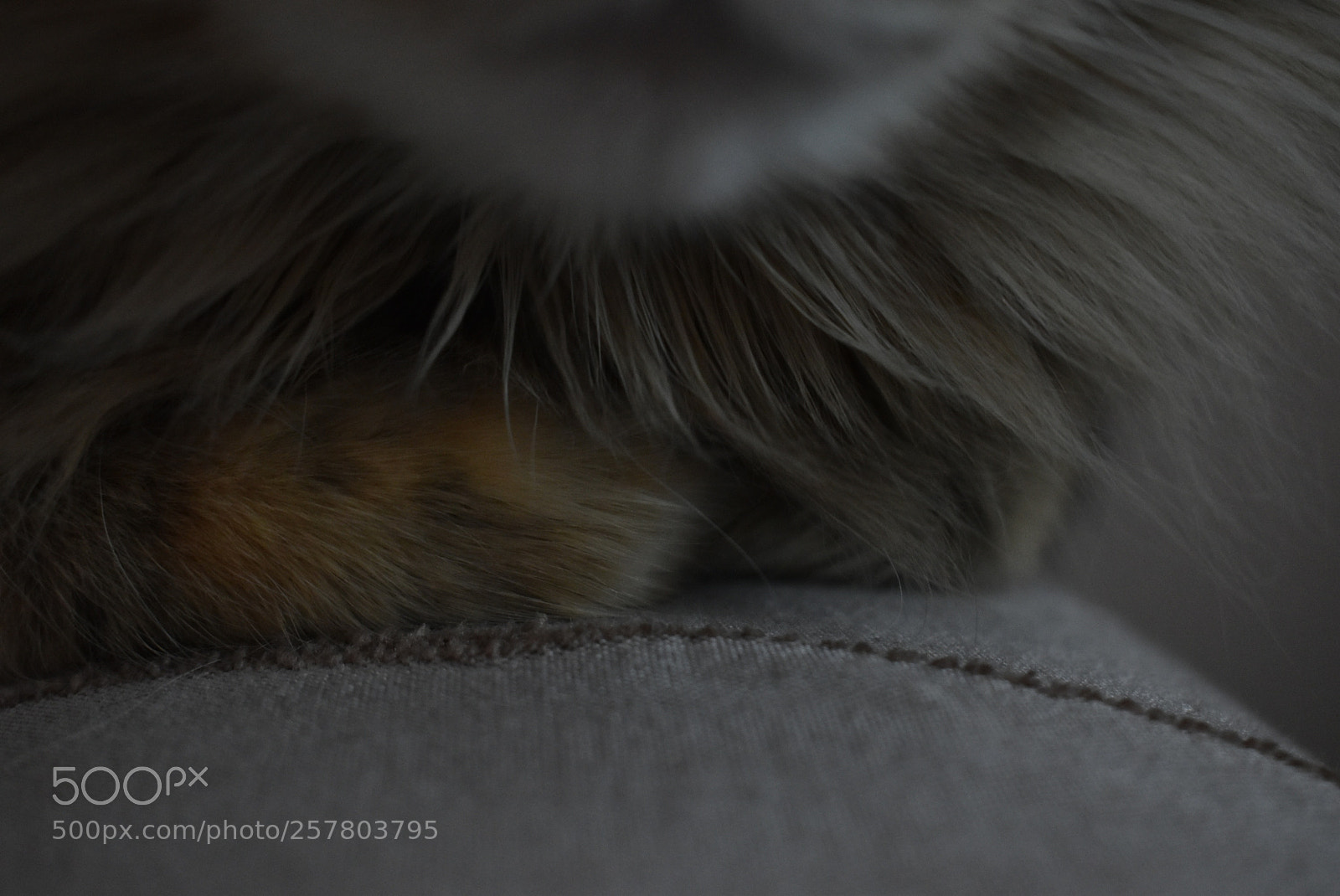 Nikon D5600 sample photo. Untitled photography
