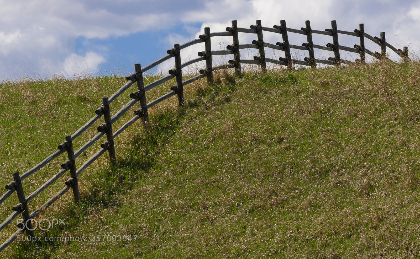 Nikon D800 sample photo. Fence photography
