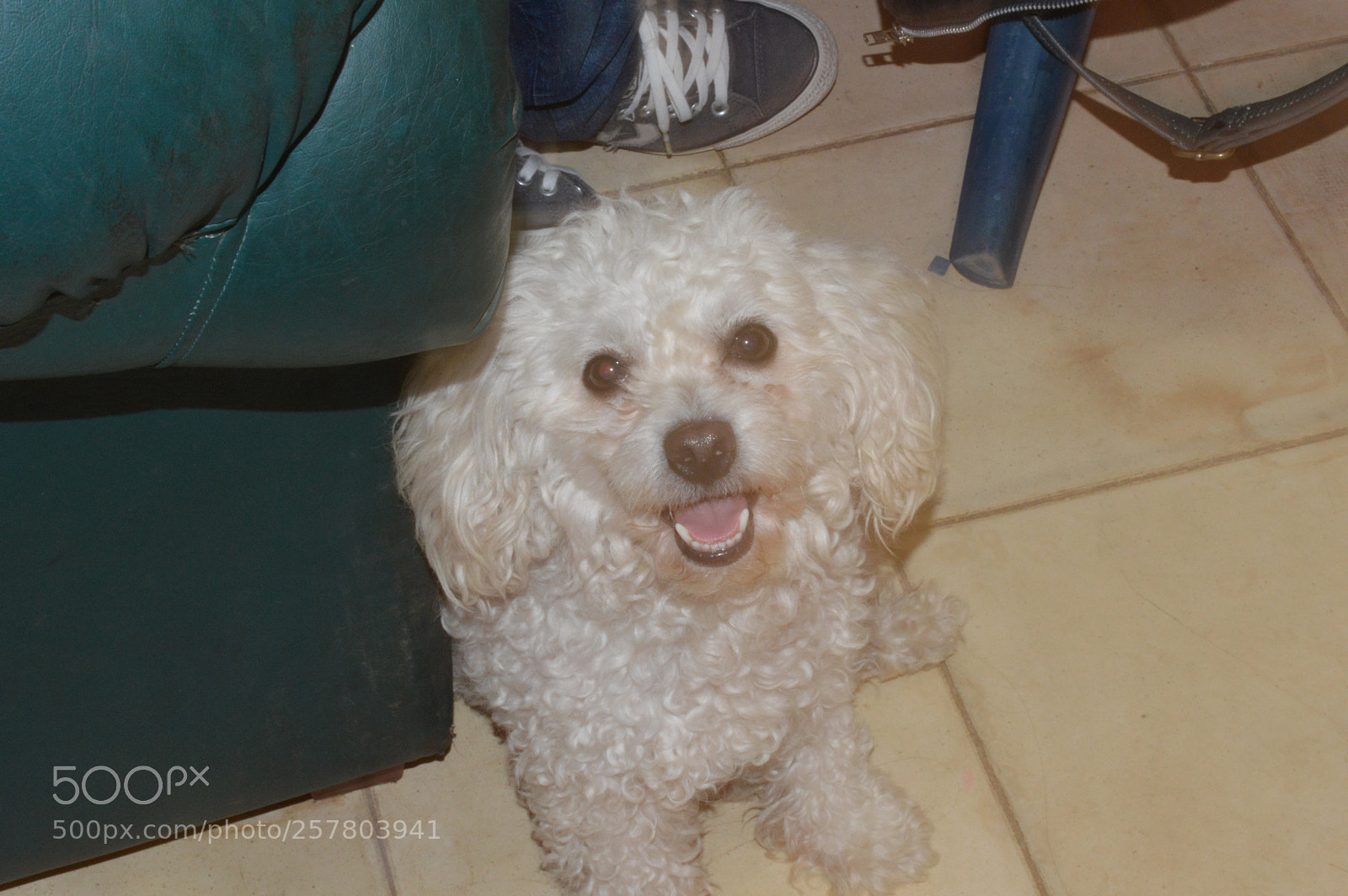Nikon D3200 sample photo. Chiwi manda cx photography