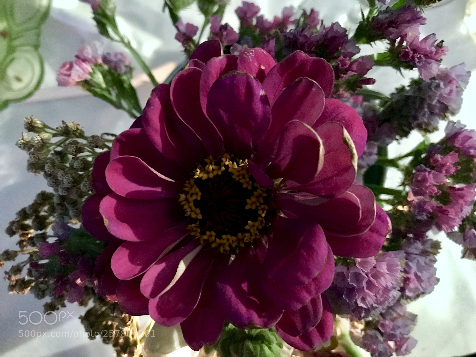 Apple iPhone 7 sample photo. Flowers photography