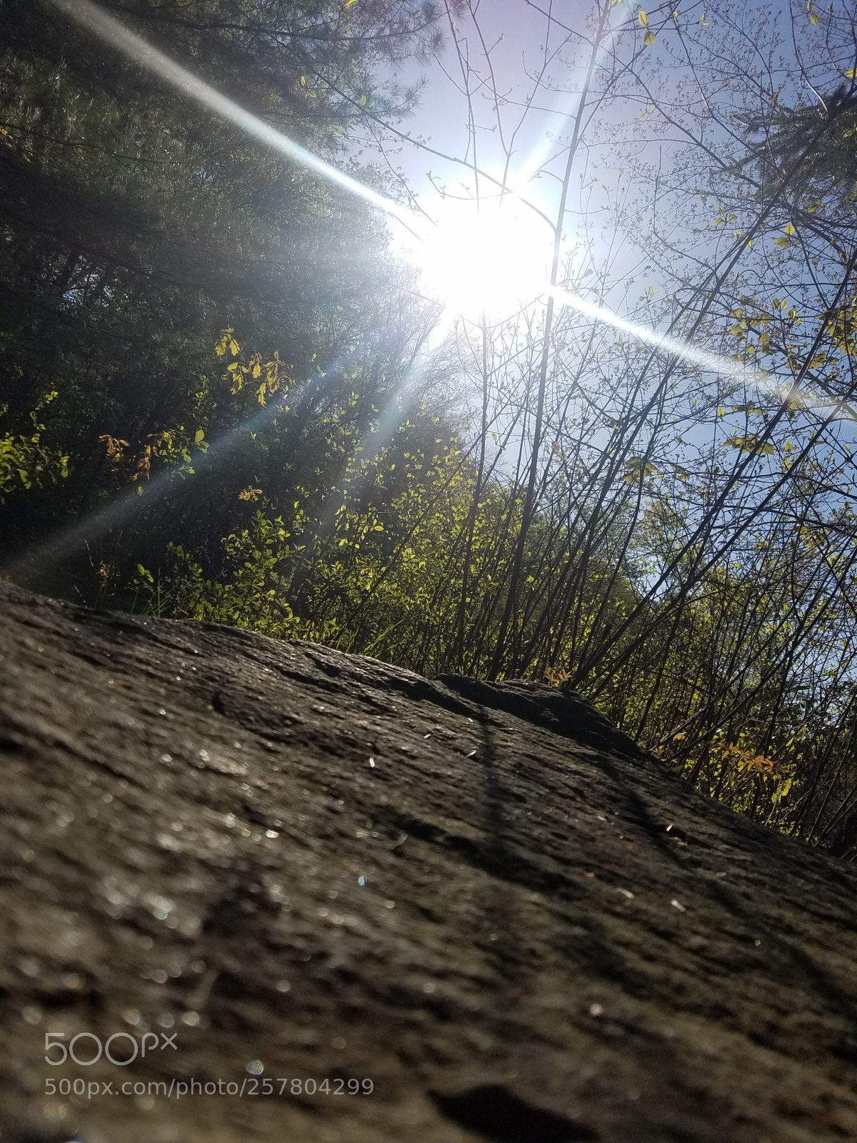 Samsung Galaxy S7 sample photo. Untitled photography