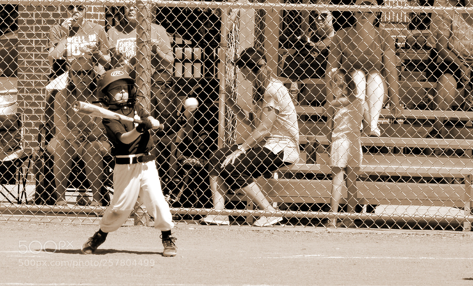 Nikon D7000 sample photo. Eye on the ball photography