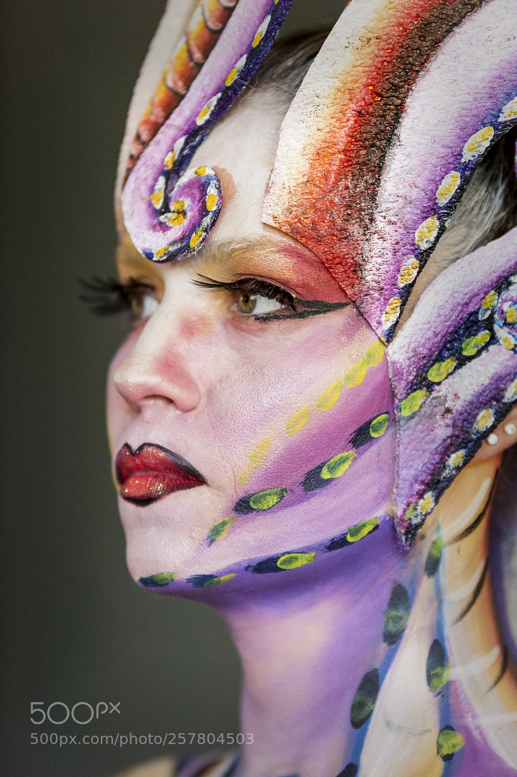 Nikon D700 sample photo. Body painting photography