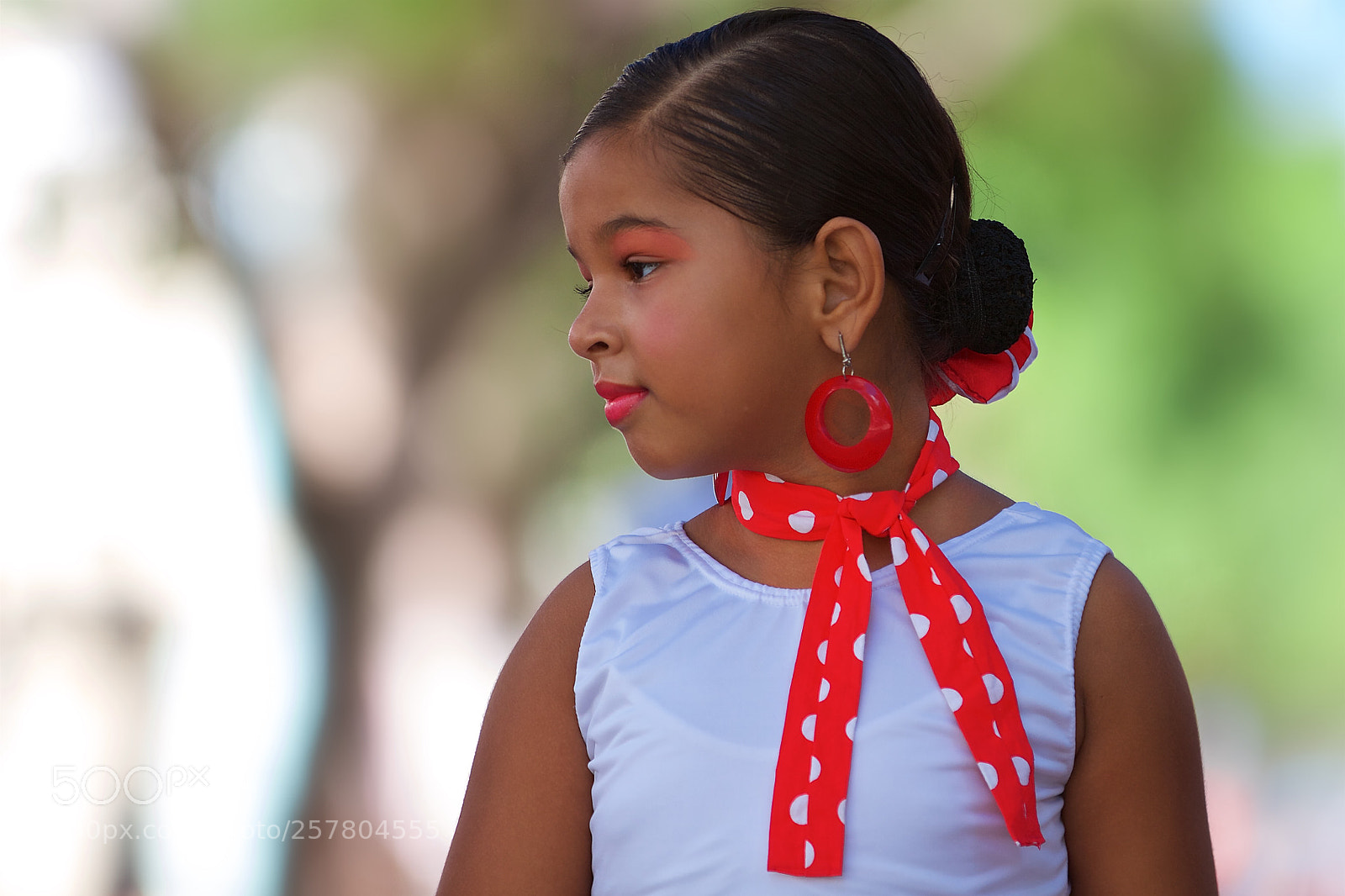 Canon EOS 7D sample photo. Flamenco girl 1 photography