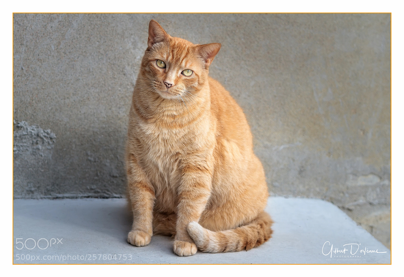 Canon EOS 7D sample photo. What a pose photography
