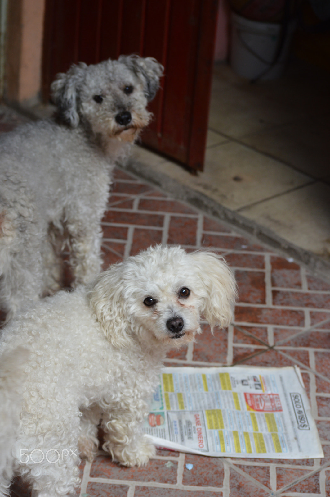 Nikon D3200 sample photo. Los hermanos, mis bebés cx photography