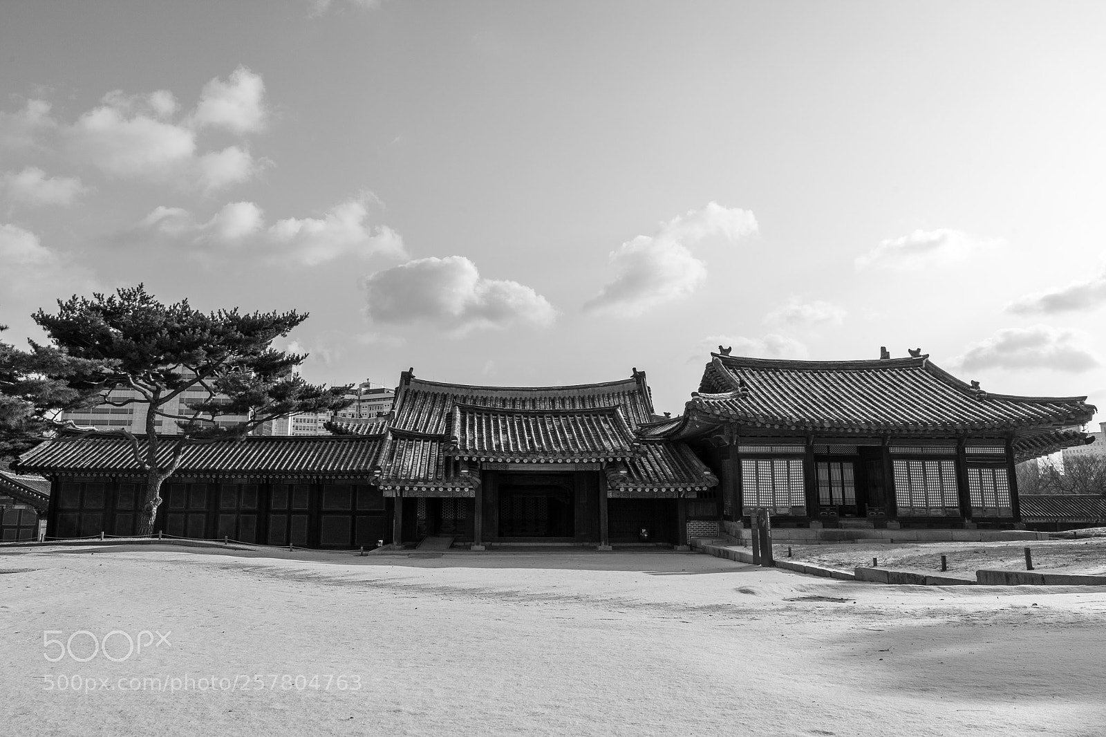 Sony a7 II sample photo. Palace photography