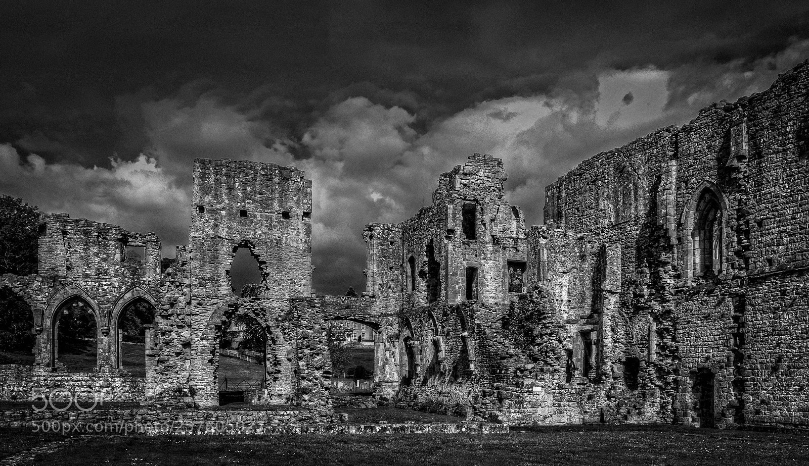 Olympus OM-D E-M1 sample photo. Reformation photography
