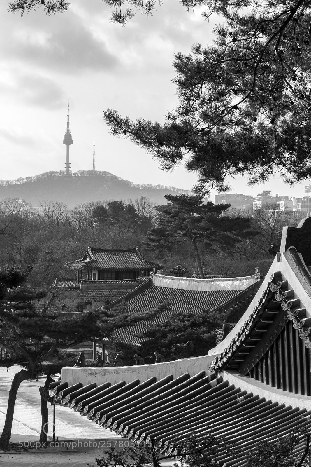Sony ILCA-77M2 sample photo. Palace photography