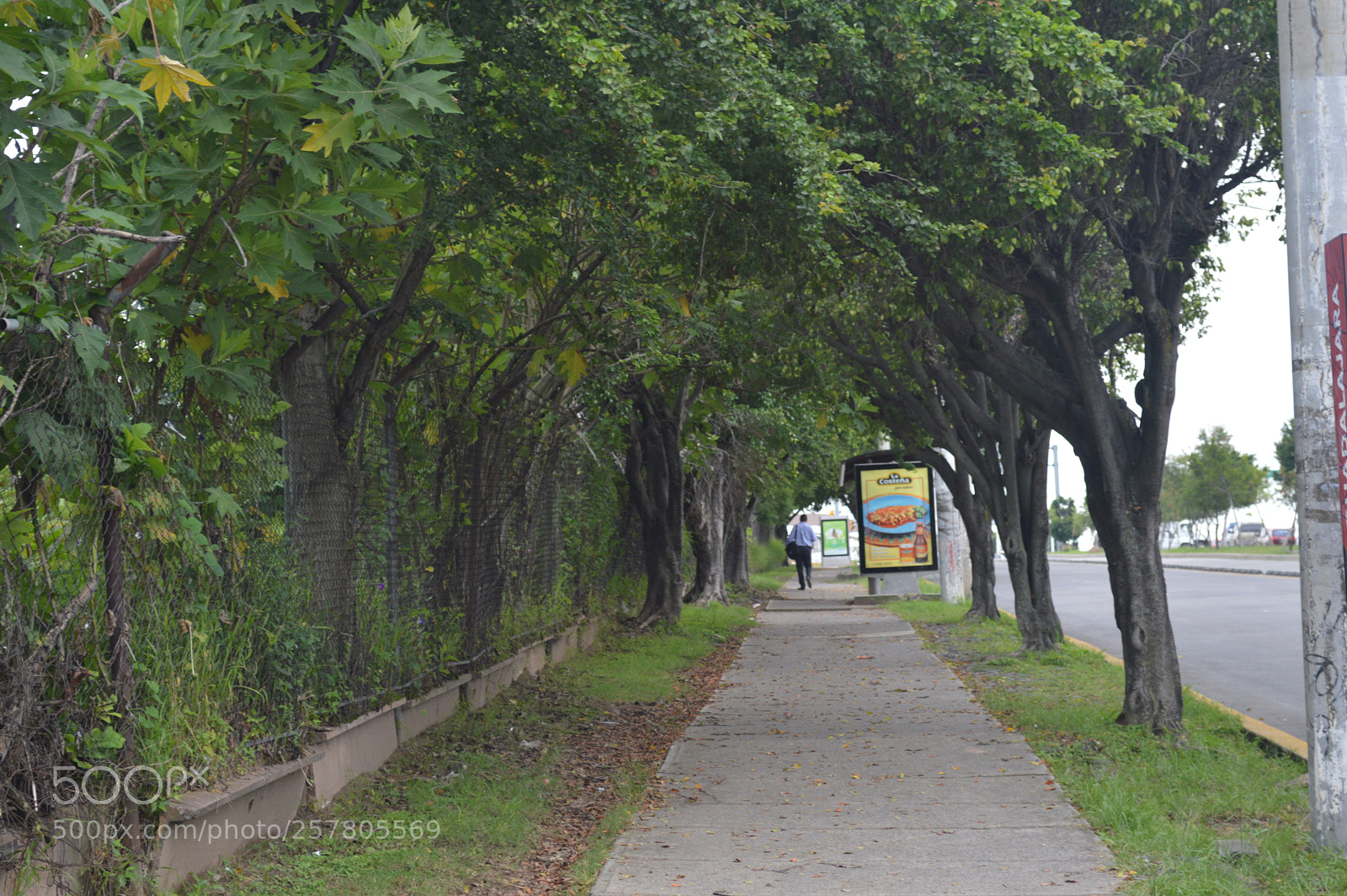 Nikon D3200 sample photo. Un camino photography